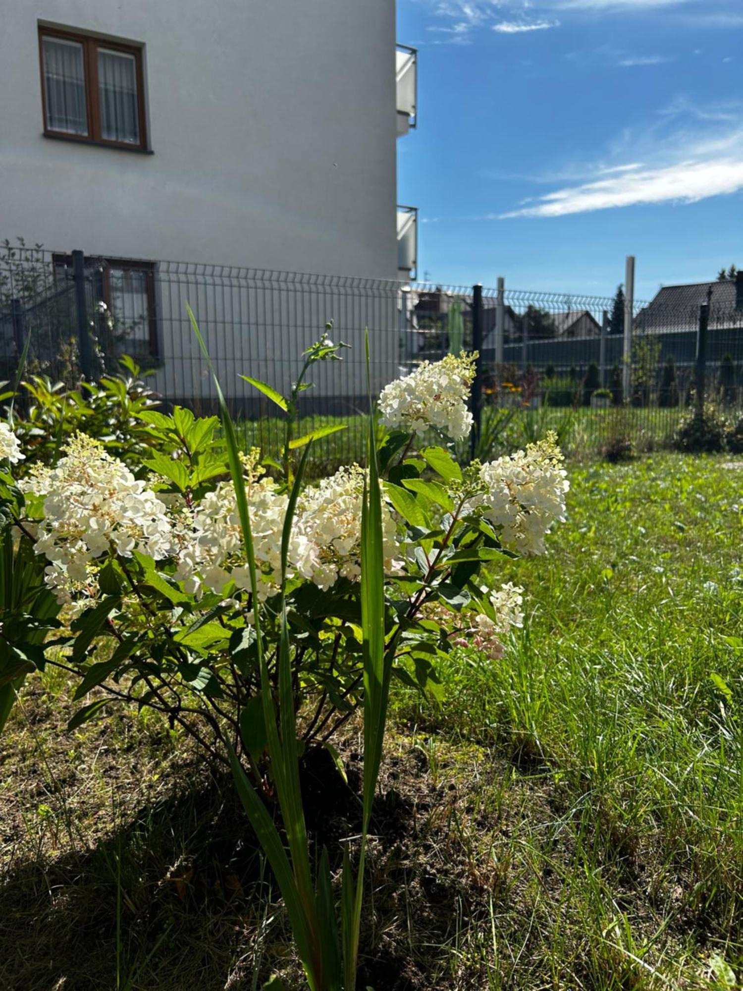 M&M Apartament Glogera Kraków Exteriör bild